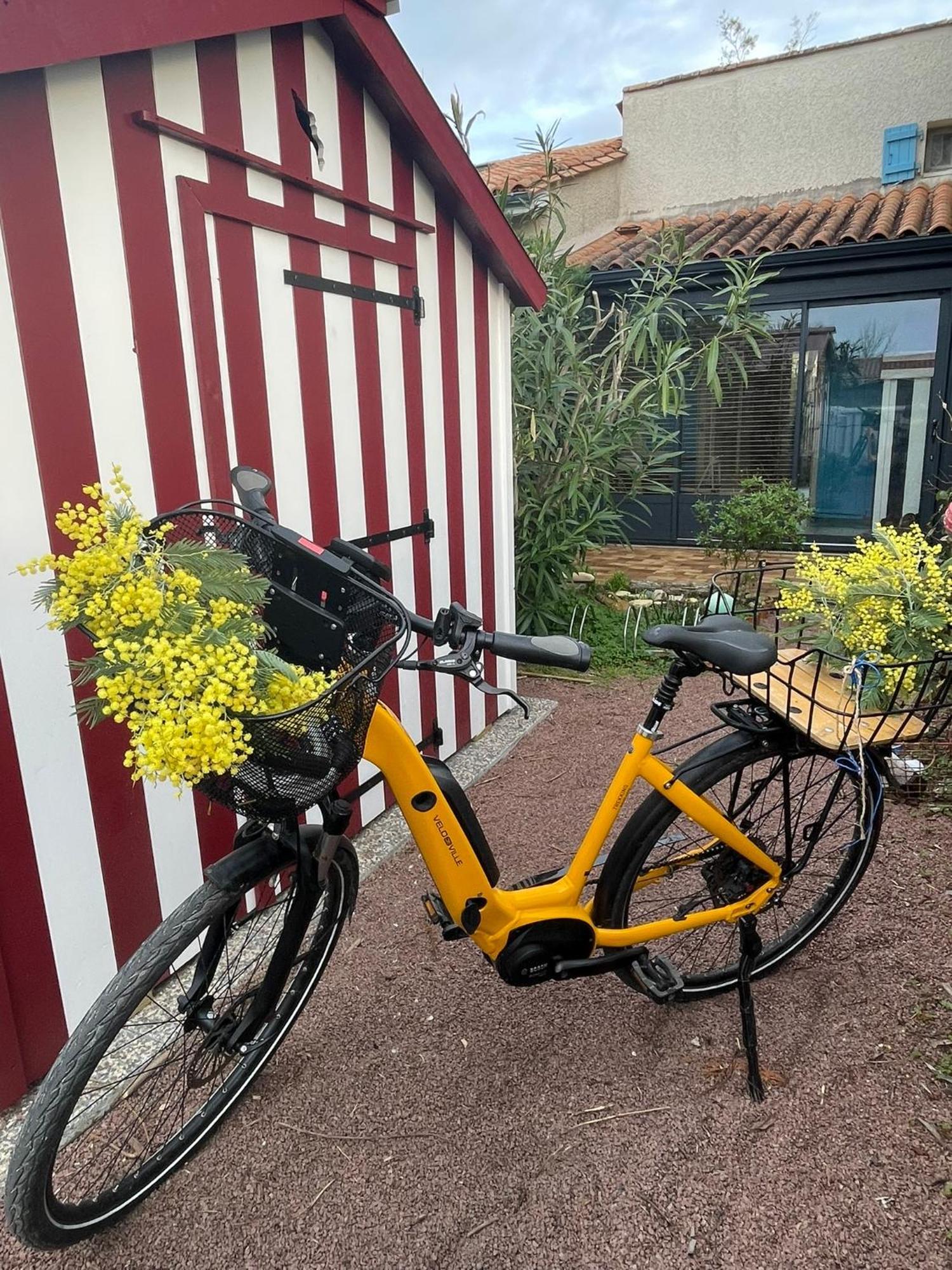 Les Mimosas Villa Saint-Trojan-les-Bains Ngoại thất bức ảnh
